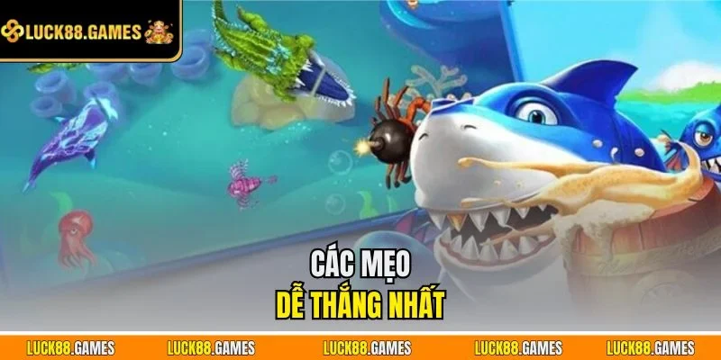 Các mẹo dễ thắng nhất